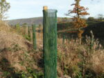 Continental Fine Mesh Guard - Image 2